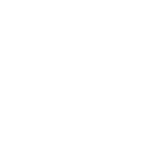 FULL PASS LOGO +